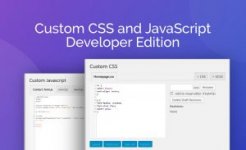 Custom_CSS_and_JavaScript_Developer_Edition-300x183.jpg