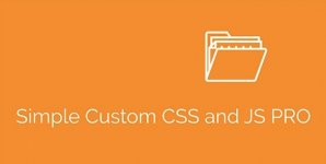 Simple Custom CSS and JS PRO.jpg