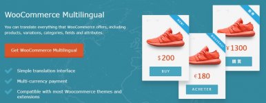 WPML WooCommerce Multilingual Addon.jpg