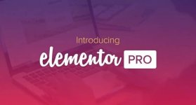 Elementor-Pro-v342-The-Most-Advanced-Website-Builder-Plugin-Totally-WordPress-Free-WordPress-P...jpg