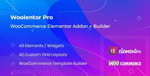 1560055868_woolentor-pro-v1.0.0-woocommerce-elementor-addons-builder.jpg