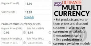 1573981745_woocommerce-ultimate-multi-currency-suite.jpg