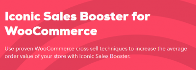 1573721848_sales-booster-for-woocommerce-iconic.png