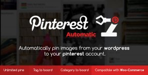 pinterest-automatic-pin-wordpress-plugin-v4-14-2_60f54f96c65eb.jpeg