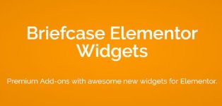 briefcase-elementor-widgets-v1-8-2_60f54fe30e155.jpeg