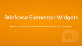 1544029554_briefcase-elementor-widgets.png