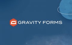 Gravity-Forms-–-Best-WordPress-Form-Plugin-v25143.jpg