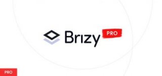 1553669338_brizy-pro.jpeg