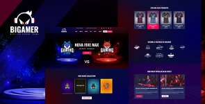 Bigamer-Online-eSports-And-Gaming-Tournaments-HTML-Template-v1.0.jpg