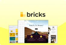 nulleddownloads.com_wp-content_uploads_2021_07_bricks-v1-1-3-visual-site-builder-for-wordpress...png