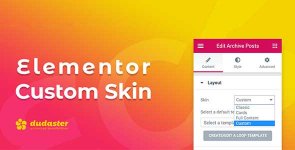 elementor-custom-skin-pro.jpg