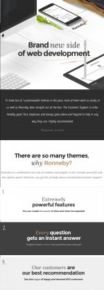 ronneby-highperformance-wordpress-theme-demo-1.jpg