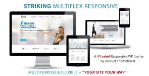 striking-multiflex-ecommerce-responsive-wp-theme.jpg