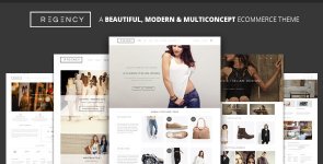 Regency - A Beautiful & Modern Ecommerce Theme.jpg