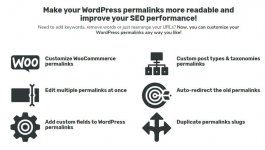 features-Permalink-Manager-Pro-Best-Wordpress-Permalink-Editor.jpg