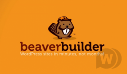 beaverprov2423.png