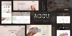 01-accu-new.jpg