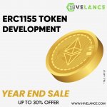 ERC1155 Token Development.jpg