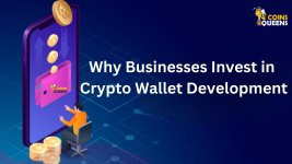 Why Businesses Invest in Crypto Wallet Development.jpg