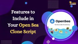 Features to Include in Your Open Sea Clone Script.jpg