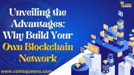 Unveiling the Advantages Why Build Your Own Blockchain Network.jpg