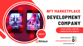 nft-marketplacedevelopment-solutions-bitdeal.png